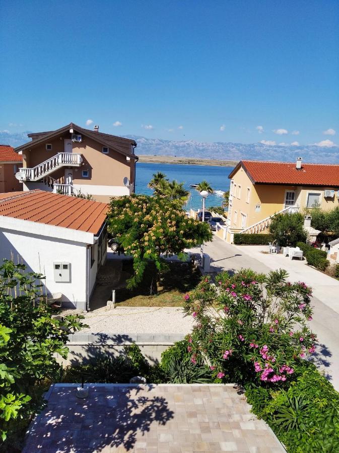 Apartmani Darija Vir Kültér fotó