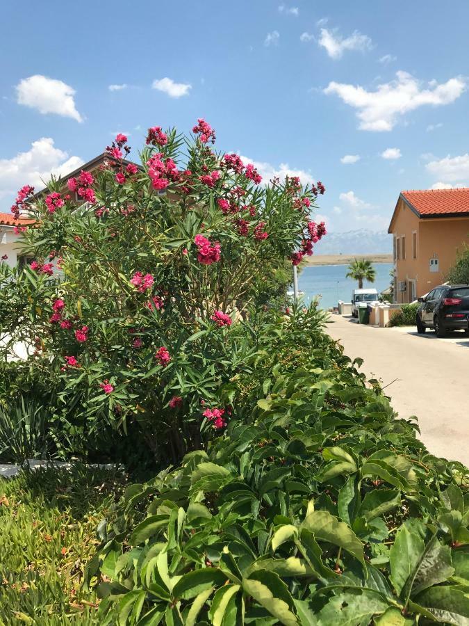 Apartmani Darija Vir Kültér fotó